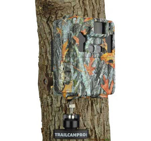 Slate River Stealth Game Camera Mount